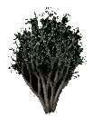 HDizwx9.gif