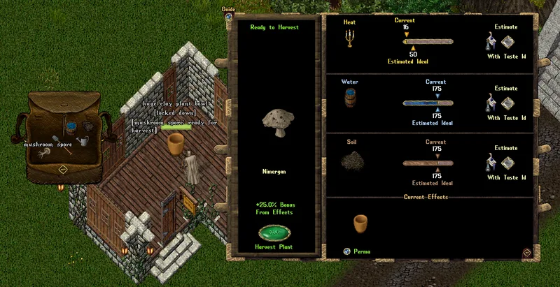 luthgrowingshroom.png