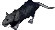 Aegis Rat