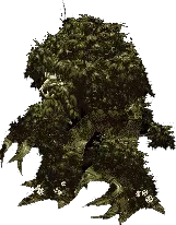 Ancient Oak