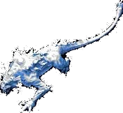 Barbed Prowler