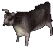 Bison