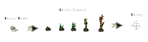 brewingbarleygrowth