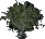 Bulbweed