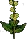 Buttercup2
