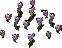 CampionCluster