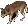 caninewolf