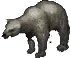Cave Bear