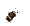 chewinggum