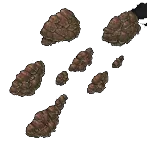 clusterripplebark