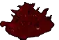 Coagulator