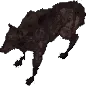 direwolf
