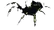 Dirge Spider