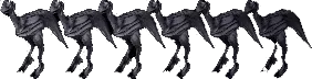 dostard24012406