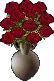 DozenRoses