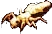 Fire Ant