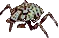 followerability waterclaw