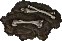 fossil ettin04