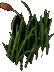 GiantCattails4