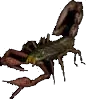 Giant Scorpion