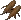 ginseng2