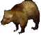 Grizzly Bear