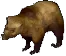 grizzlybear
