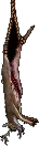 hangingdeercarcass