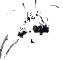 Harvestman