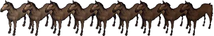 horse18461854