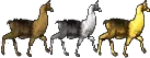 kftrophyderby