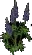 KingsCup