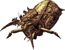 kraulhivemother