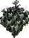 LilyoftheValley