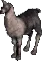 llama1873