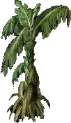MassiveBananaTree