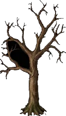 MassiveOak4