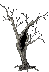 MassiveWitchwood