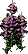 mediumsnapdragon