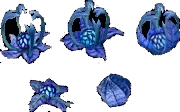 mushroom nightqueen