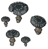 mushroom runecap