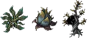 netherzone plants