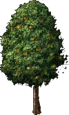 peachtreemedium