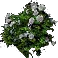 Peony