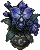 pottednightbloomorchid