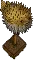preservedpufferfish