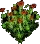 RedPoppies