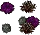 seaurchins
