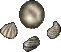 shuckoff