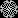 smalllacedoily